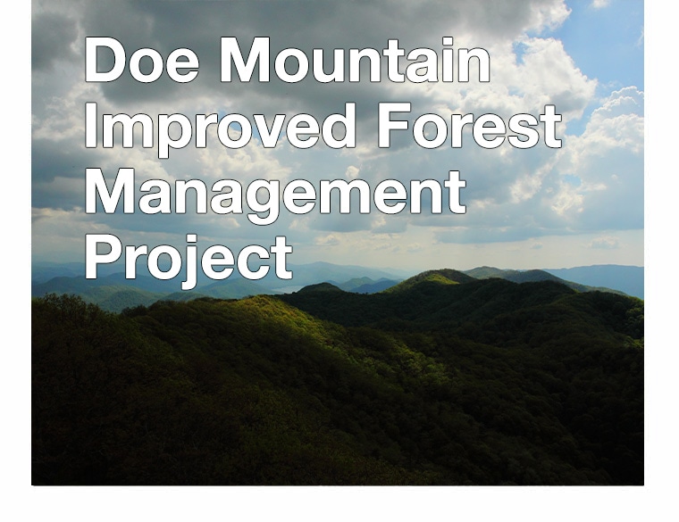 Doe Mountain Improved Forest Management Project​
